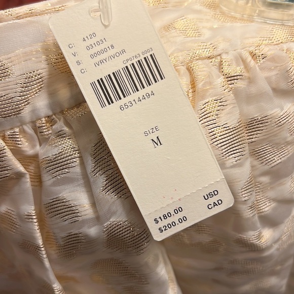 Anthropologie Maxi Skirt - Picture 3 of 5